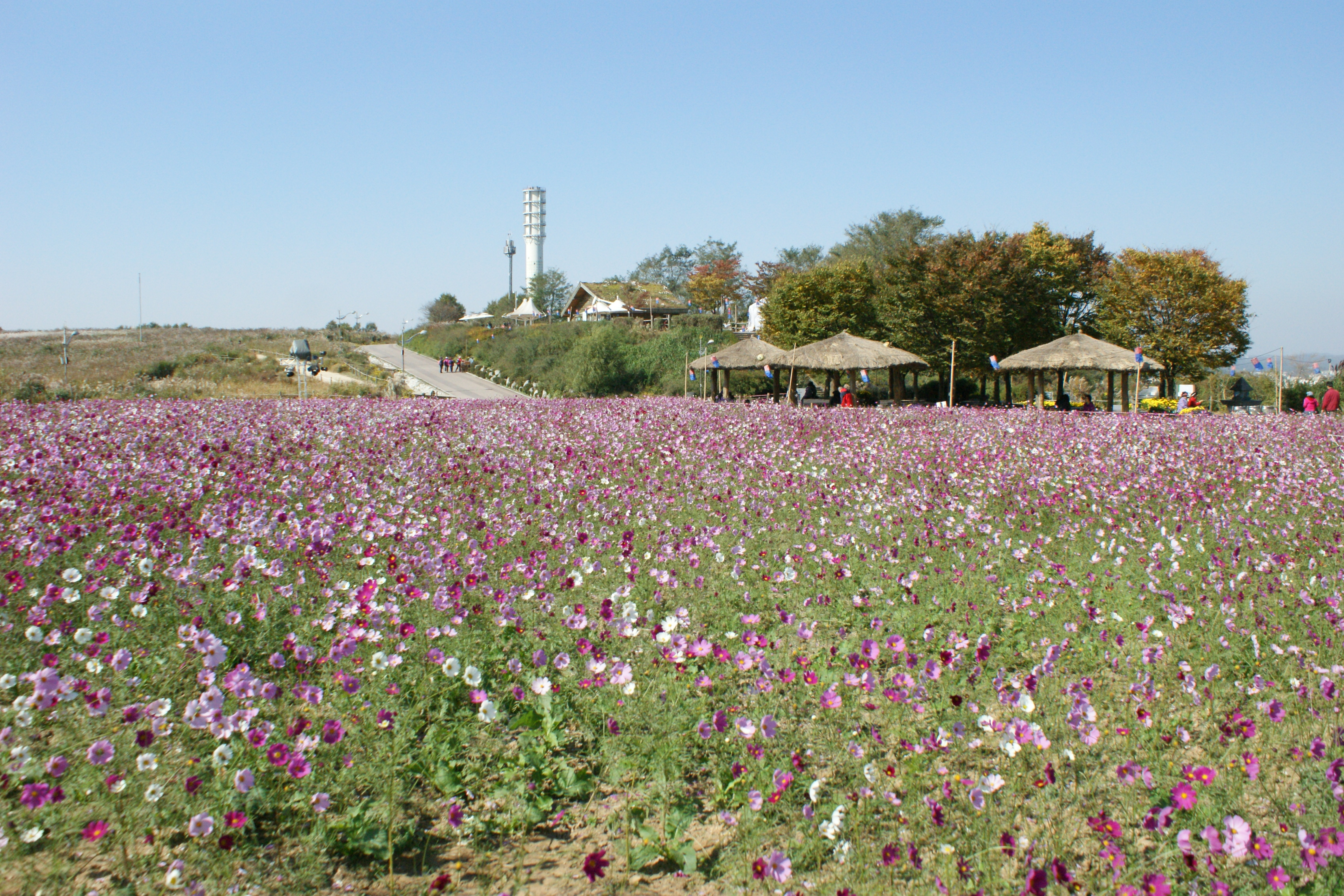 Worldcup Park