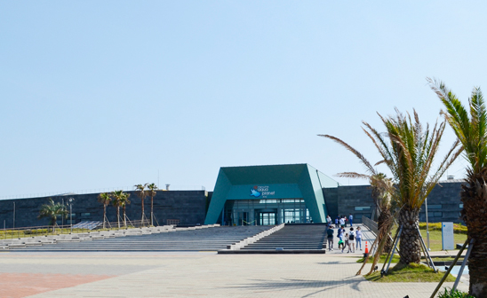 Aqua Planet Jeju Aquarium