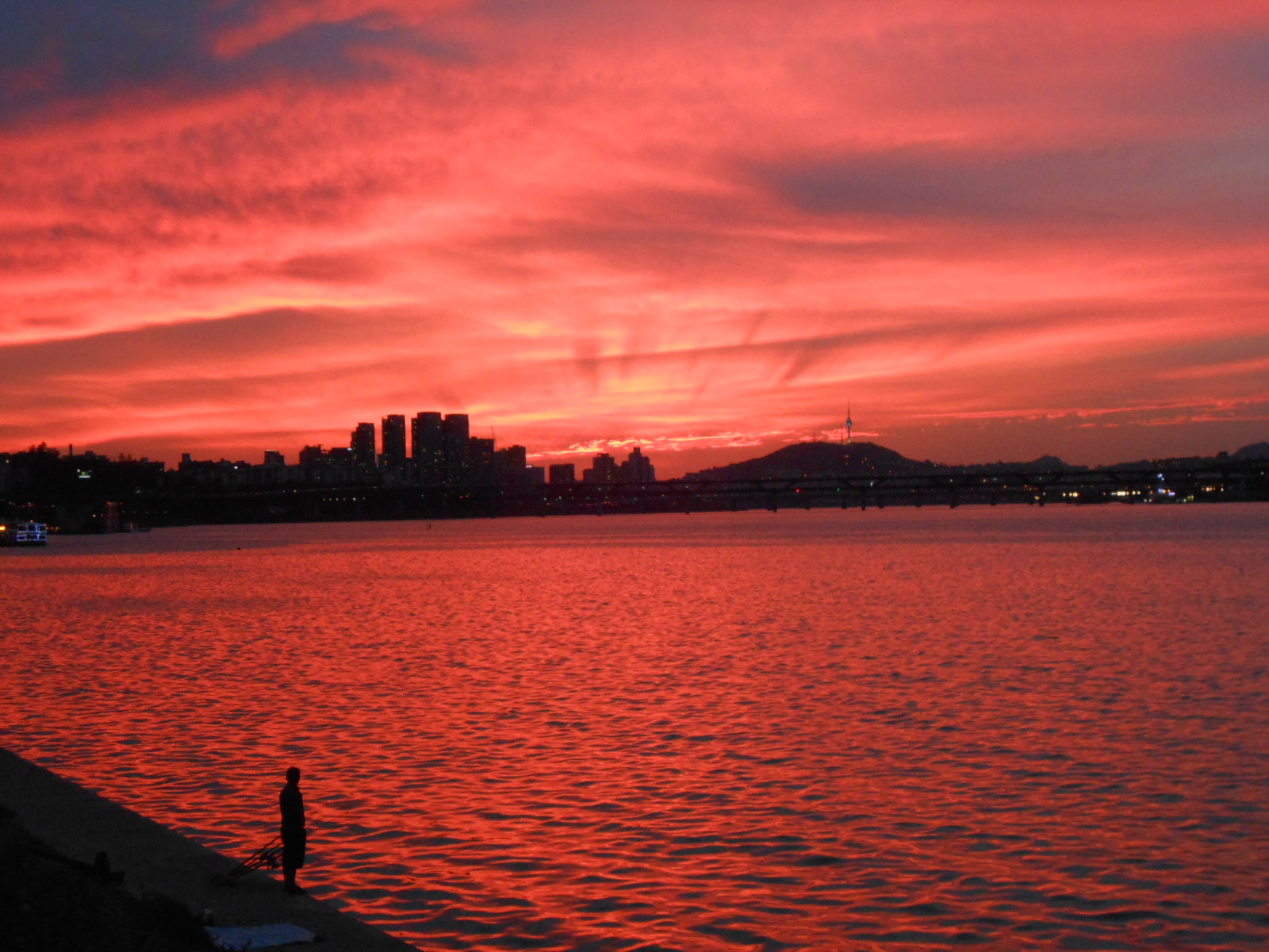 Jamsil Han River Park