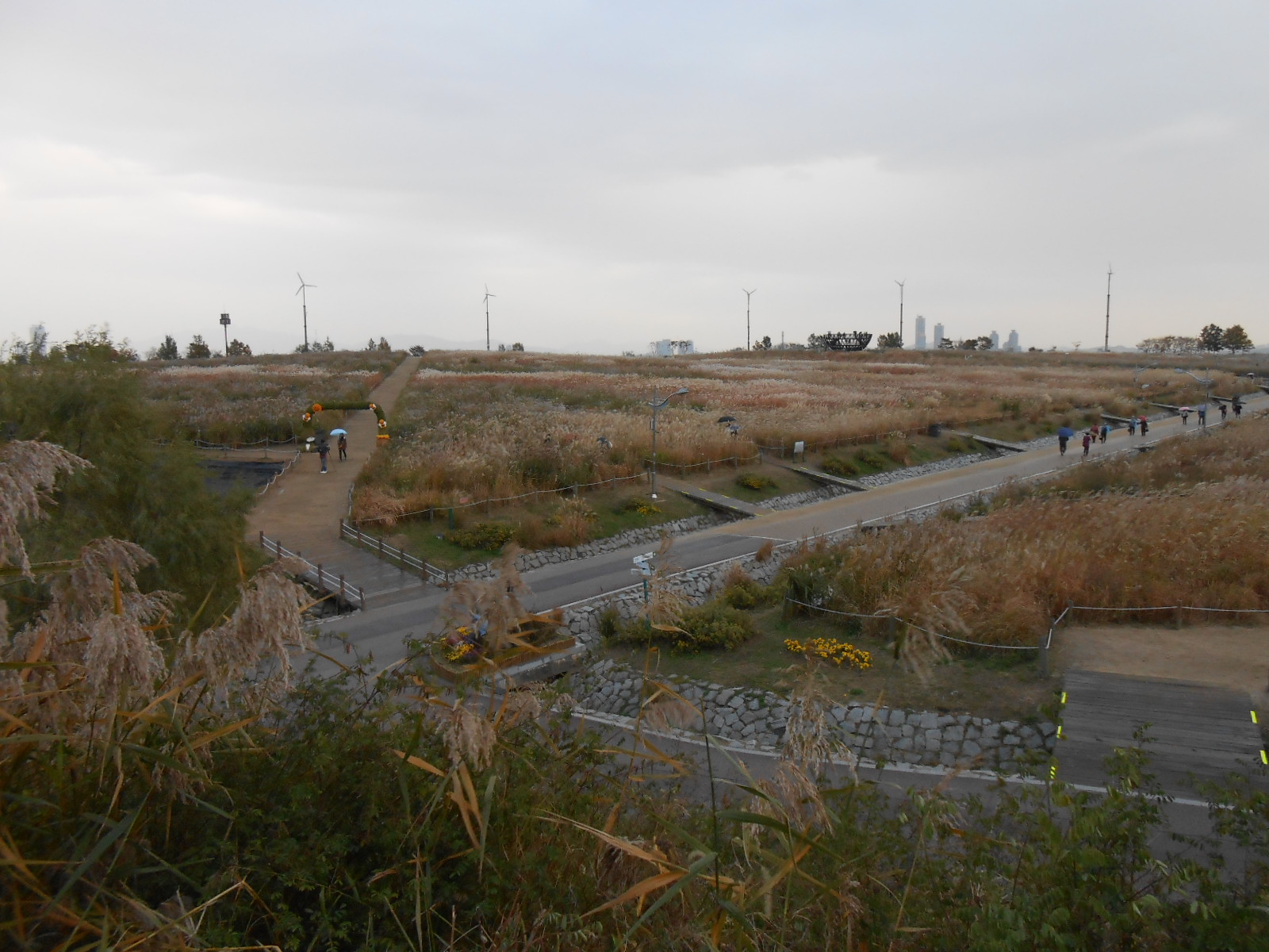 Sky Park