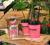Zapangi