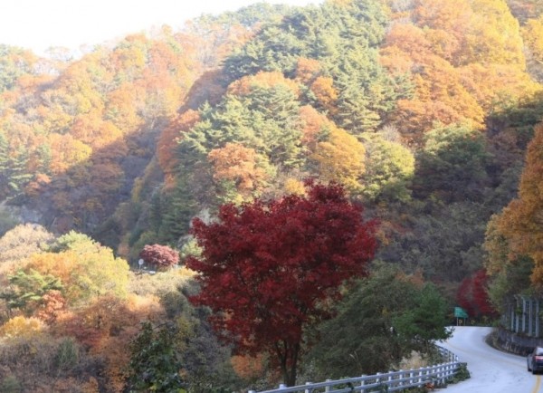 Jiri Mountain