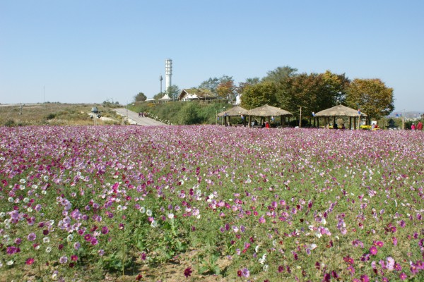 Worldcup Park