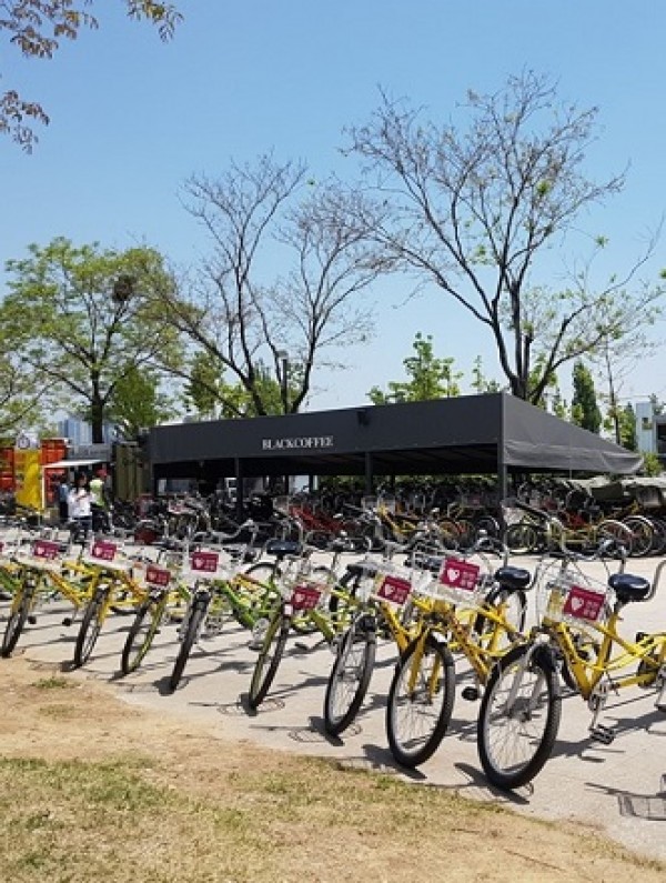 Han River bike
