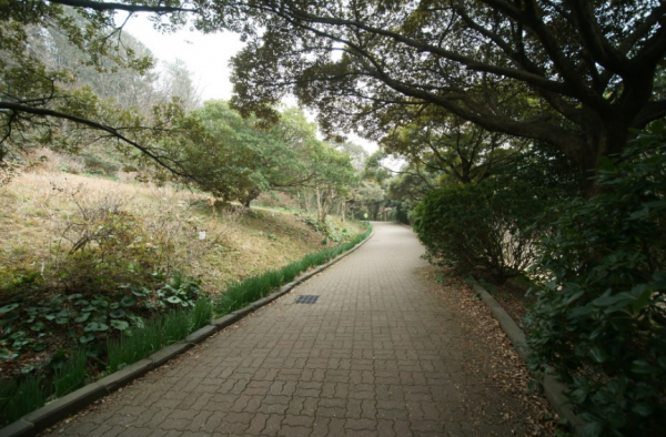 Hala Sumokwon
