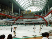 Lotte World Ice Rink