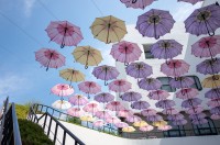 Seoul Botanic Park