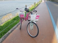 Han River bike