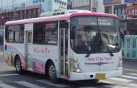 Jeju City Tour Bus