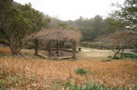 Hala Sumokwon