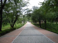 Children's Grand Park