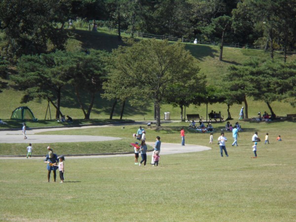 Olympic Park