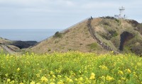 Seopjikoji