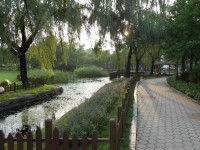 Yeouido Park