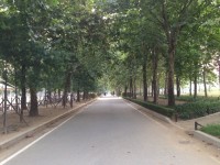 Boramae Park