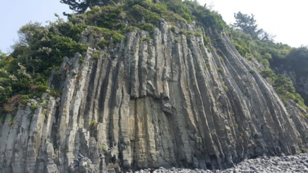 Getkak Jusangjeollidae