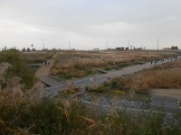 Sky Park